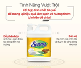  Nước Rửa Chén Dầu Rửa Bát Senny Hương Quế Khử Mùi Tanh Loại Bỏ Dầu Mỡ Sạch Bóng Trong 1 Lần Rửa Dạng Vòi Xịt 1,4Kg 