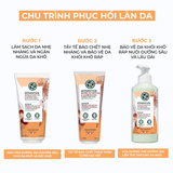  Tẩy tế bào chết toàn thân từ Bơ hạt mỡ Yves Rocher Repair Rich Body Scrub 250ml 