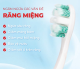  Bộ Đôi Bàn Chải Lipzo Sensitive Lông Tơ Kháng Khuẩn Dành Cho Răng Nhạy Cảm 