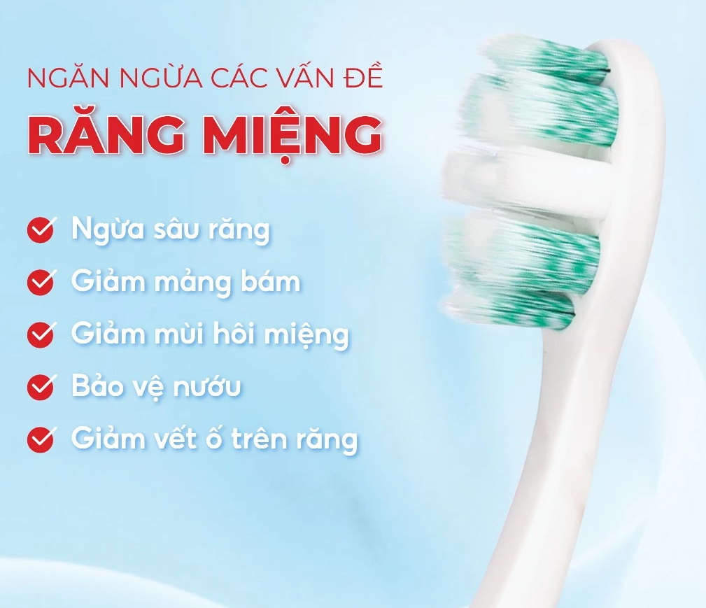  Bộ Đôi Bàn Chải Lipzo Sensitive Lông Tơ Kháng Khuẩn Dành Cho Răng Nhạy Cảm 