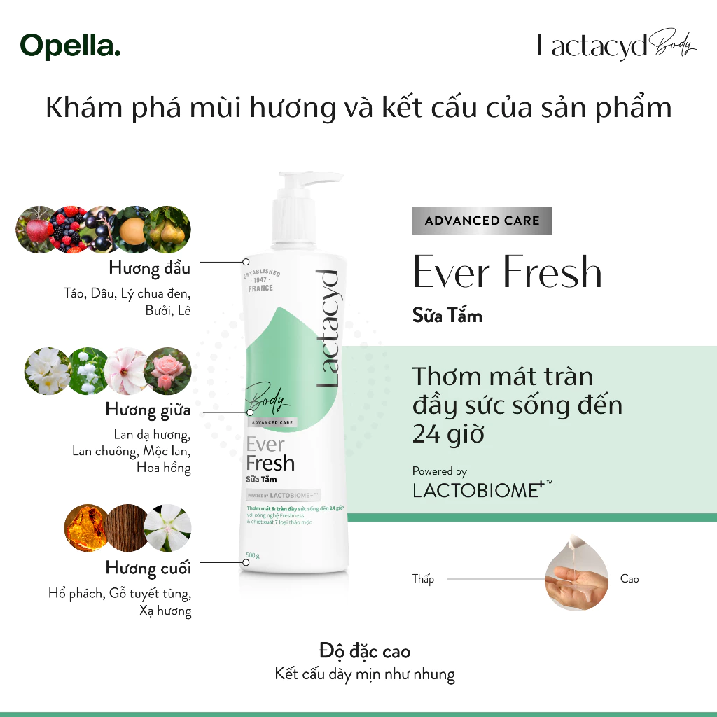  Sữa tắm Lactacyd Ever Fresh mang lại làn da thơm mát và tràn đầy sức sống đến 24 giờ 