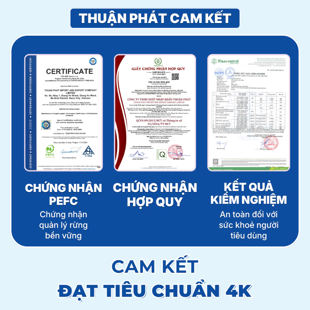  Giấy Lau Bếp Thấm Dầu Đa Năng Elene Tiện Lợi, Đa Năng, Tiết Kiệm - Túi 2 cuộn, 2 lớp, dài 30M 