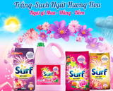  Bột giặt Surf ngát hương xuân 380g - 800g - 2kg - 5.5kg 
