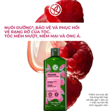  Dầu gội giữ màu tóc nhuộm và giúp tóc bóng mượt Yves Rocher Shine Protective Shampoo 300ml 