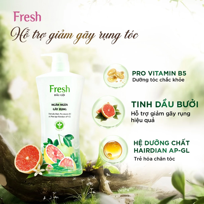 Dầu Gội FRESH Thiên Nhiên Giúp Tóc Chắc Khỏe Mềm Mượt 650g/chai 
