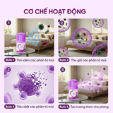  Lọ tỏa hương KUNO hương thơm tự nhiên, Lọ thơm phòng khử mùi 360 độ thế hệ mới thơm lâu 45 ngày 