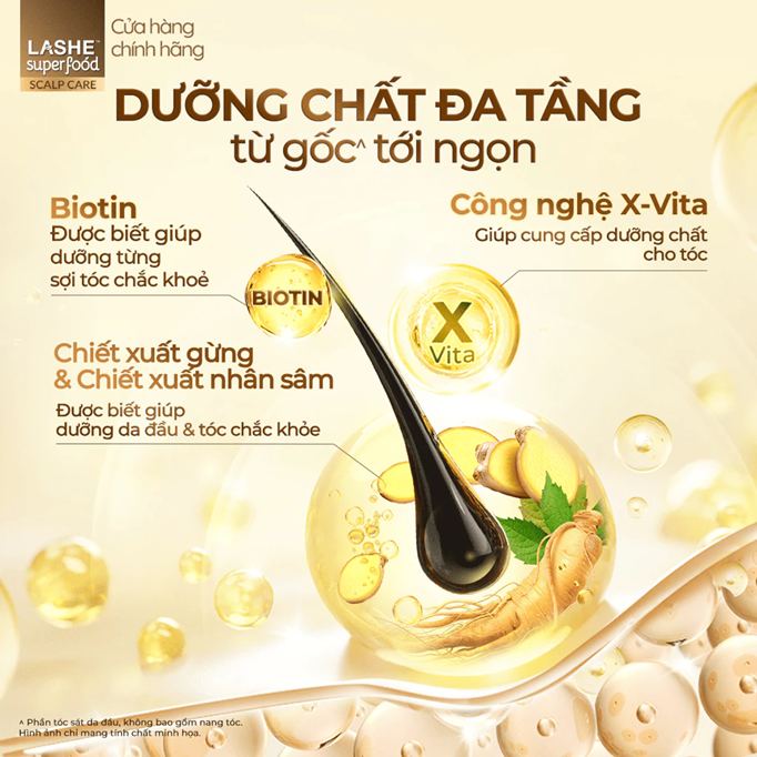 Dầu Gội Dưỡng Chất Đa Tầng LASHE SUPERFOOD SCALP CARE 285G 