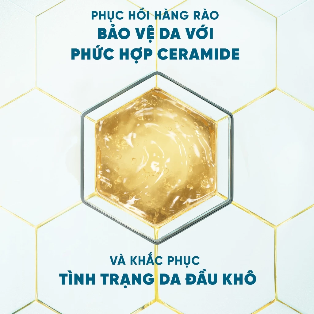  Dầu Gội H&S Chuyên Sâu DermaXpro Phục Hồi Dưỡng Ẩm 300ml - Châu Âu 