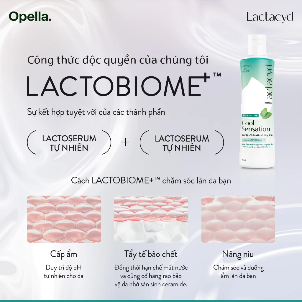  Dung Dịch Vệ Sinh Phụ Nữ Lactacyd Cool Sensation 250ml Mát Lạnh & Sạch Thoáng Dài Lâu 