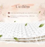  Khăn ướt vệ sinh vùng kín phụ nữ EcoWipes gói 1 tờ travel size hương hoa Daisy Hộp 20 gói 