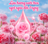  Dây Túi Nước Xả Thơm Vải Sizen Hương Nước Hoa 20 ml lưu hương nước hoa lâu, Không gây kích ứng da 
