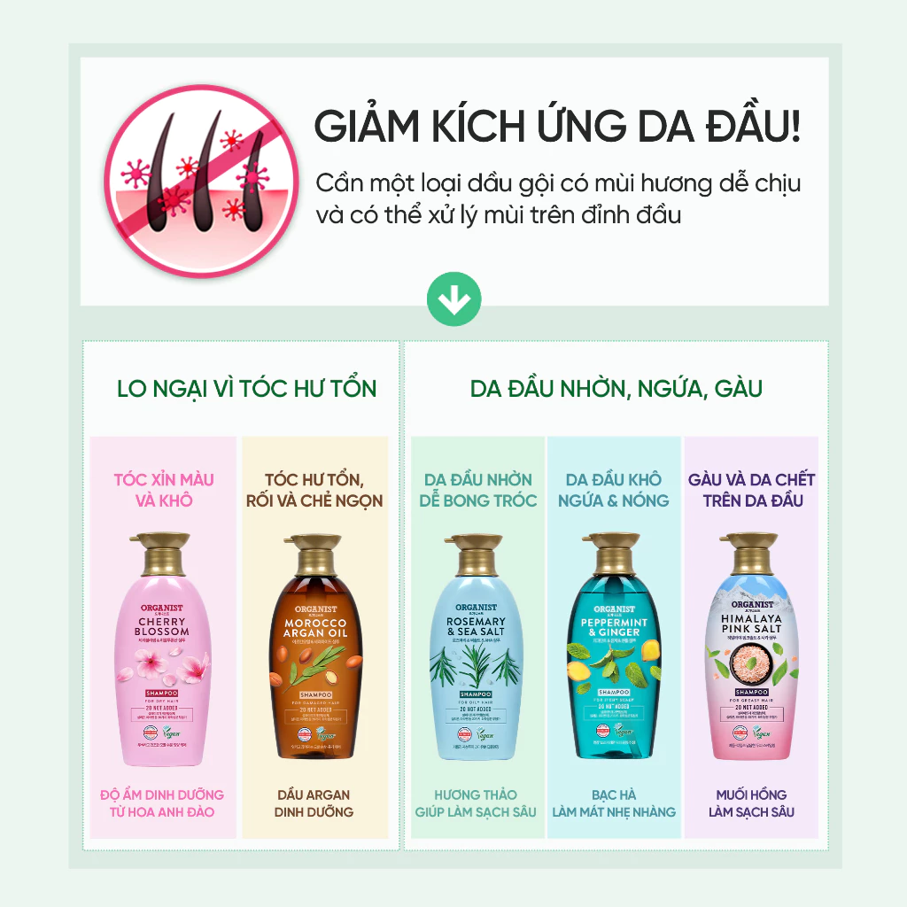  Dầu gội dưỡng tóc Organist dành cho tóc hư tổn Tinh dầu Morocco Argan 500ml 