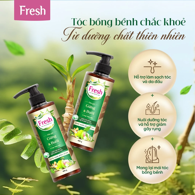  Dầu Gội FRESH Thảo Mộc Dưỡng Sinh 480g (Sạch Gàu Mềm Mượt / Chắc Khỏe Bồng Bềnh) 