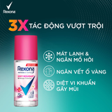 Xịt/lăn khử mùi Rexona 72H khô thoáng dành cho nữ 135/45ml 