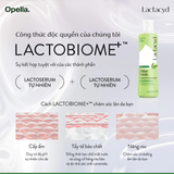  Dung Dịch Vệ Sinh Phụ nữ Lactacyd Odor Fresh Ngăn Mùi 24H 250ml 