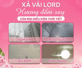  Nước Xả Vải LORD Hương Nước Hoa Đậm Đặc Sạch Khuẩn Mềm Vải Lưu Hương Thơm Lâu 3kg 