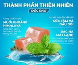  Tắm Gội Xmen Clean&Fresh Sạch Gàu Sạch Sâu 610g Thành Phần Thiên Nhiên Chiết Xuất Bạc Hà Mát Lạnh 