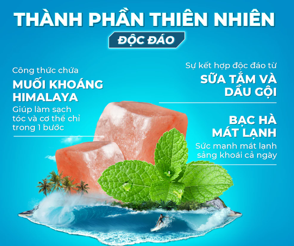  Tắm Gội Xmen Clean&Fresh Sạch Gàu Sạch Sâu 610g Thành Phần Thiên Nhiên Chiết Xuất Bạc Hà Mát Lạnh 