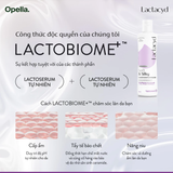  Dung Dịch Vệ Sinh Phụ nữ Lactacyd Soft & Silky Dưỡng Ẩm 250ml 