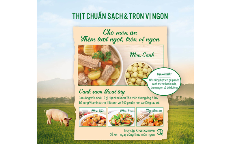  Hạt nêm Knorr thịt thăn, xương ống, tủy gói 170 g 