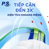  Bộ 6/8 bàn chải đánh răng P/S 4D 