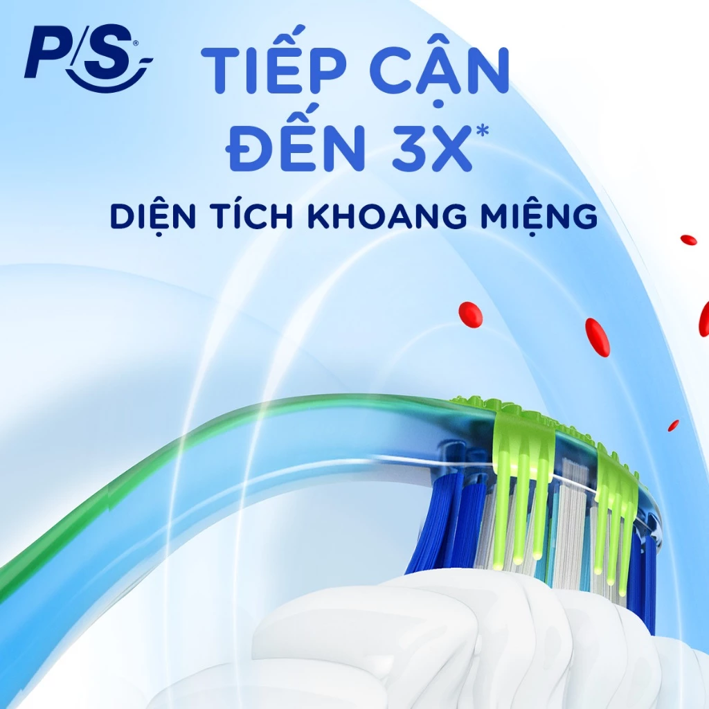  Bộ 6/8 bàn chải đánh răng P/S 4D 