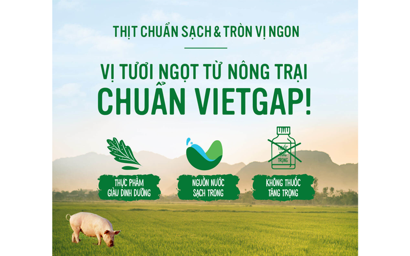  Hạt nêm Knorr thịt thăn, xương ống, tủy gói 170 g 