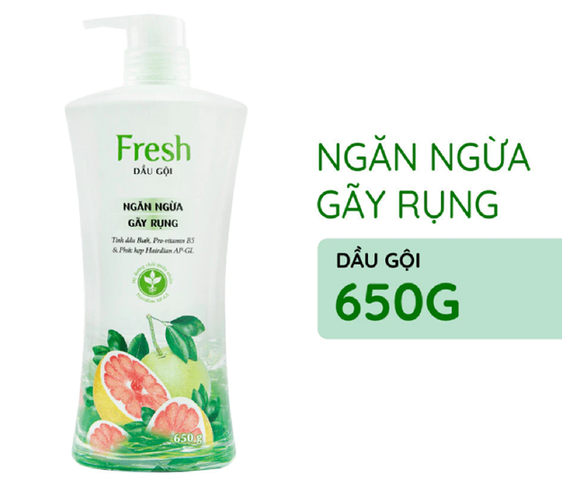  Dầu Gội FRESH Thiên Nhiên Giúp Tóc Chắc Khỏe Mềm Mượt 650g/chai 