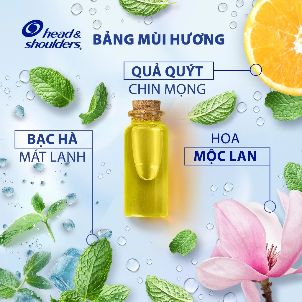  Dầu Gội Sạch Gàu HEAD & SHOULDERS Bạc Hà/ Giảm Ngứa Da Đầu/ Hương Chanh/ Sạch Sâu/ Làm Sạch Vi Khuẩn Chai 850ml 