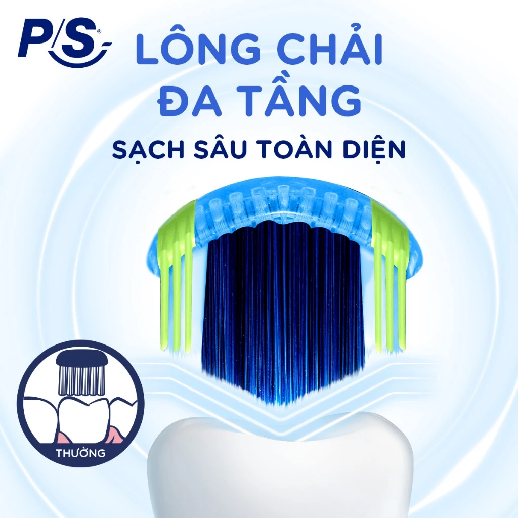  Bộ 6/8 bàn chải đánh răng P/S 4D 