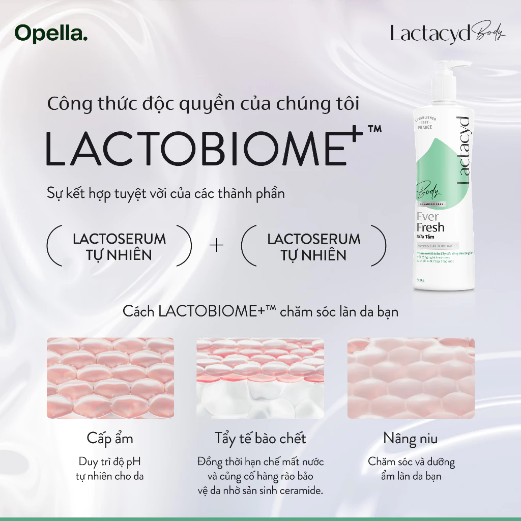  Sữa tắm Lactacyd Ever Fresh mang lại làn da thơm mát và tràn đầy sức sống đến 24 giờ 