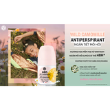  Lăn khử mùi ngăn mùi suốt 24H - 48H Yves Rocher 50ml (nhiều phân loại) 