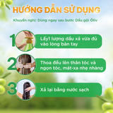  Dầu Xả ÔLIV Phục Hồi Hư Tổn/Chắc Khỏe Ngăn Gãy Rụng/Chắc Khỏe Bồng Bềnh 250ML & 650ML 