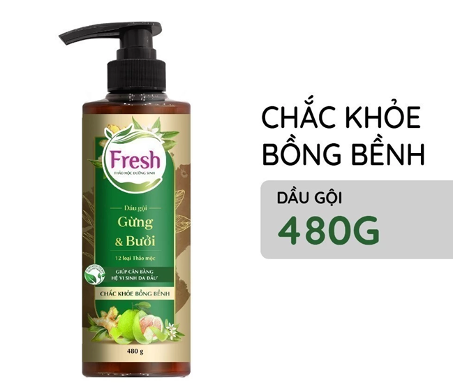  Dầu Gội FRESH Thảo Mộc Dưỡng Sinh 480g (Sạch Gàu Mềm Mượt / Chắc Khỏe Bồng Bềnh) 