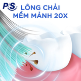  Bộ 6/8 bàn chải đánh răng P/S 4D 