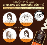  Kem nhuộm phủ bạc Elastine Easy and Perfect 60g 