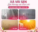  Nước Xả Mềm Vải SEN Đậm Đặc Hương Nước Hoa Lưu Hương Bền Lâu Quần Áo Thơm Mát Khử Mùi Khó Chịu 800g 