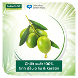  Dầu gội Palmolive kèm xả 2-trong-1 chiết xuất thiên nhiên 600ML 