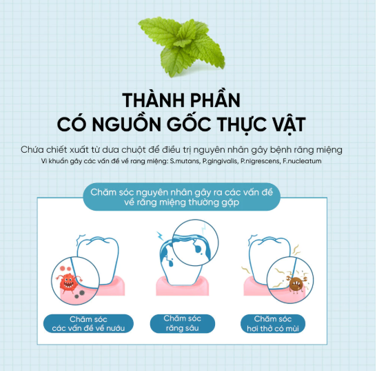  Kem đánh răng muối hồng Himlaya Pink Salt Floral mint 100g 