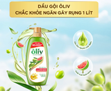  Dầu Gội ÔLIV Nuôi Dưỡng Tóc Chắc Khỏe Bồng Bềnh/Ngăn Gãy Rụng/Phục Hồi Hư Tổn 250ML/650ML/1L 