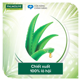  Dầu gội Palmolive kèm xả 2-trong-1 chiết xuất thiên nhiên 600ML 