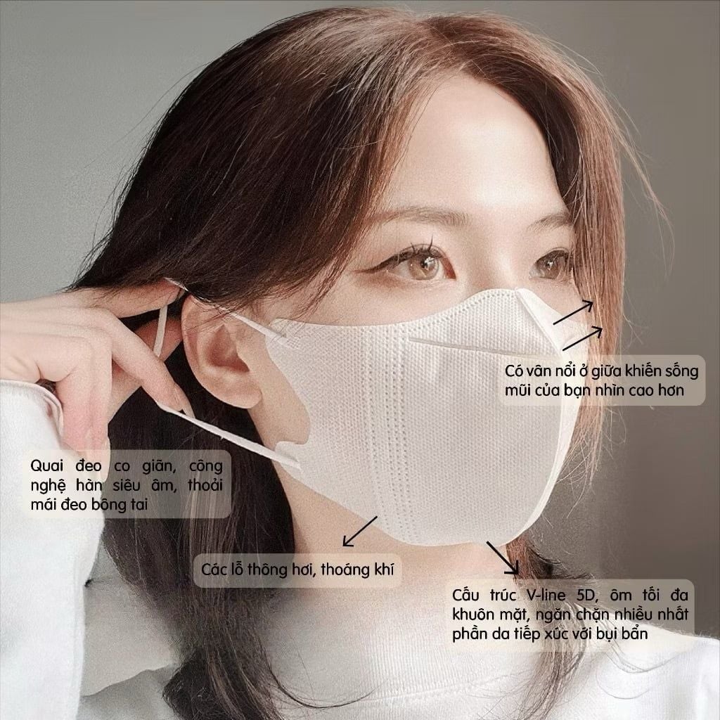  Khẩu trang  3 lớp Famapro 5D Mask hộp 10 chiếc 