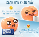  Khăn ướt đi toilet có thể xả trong bồn cầu Flushable EcoWipes gói 60 tờ hương tự nhiên 