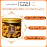  Nụ Trầm Hương (Dòng Phổ Thông) Búp Sen 
