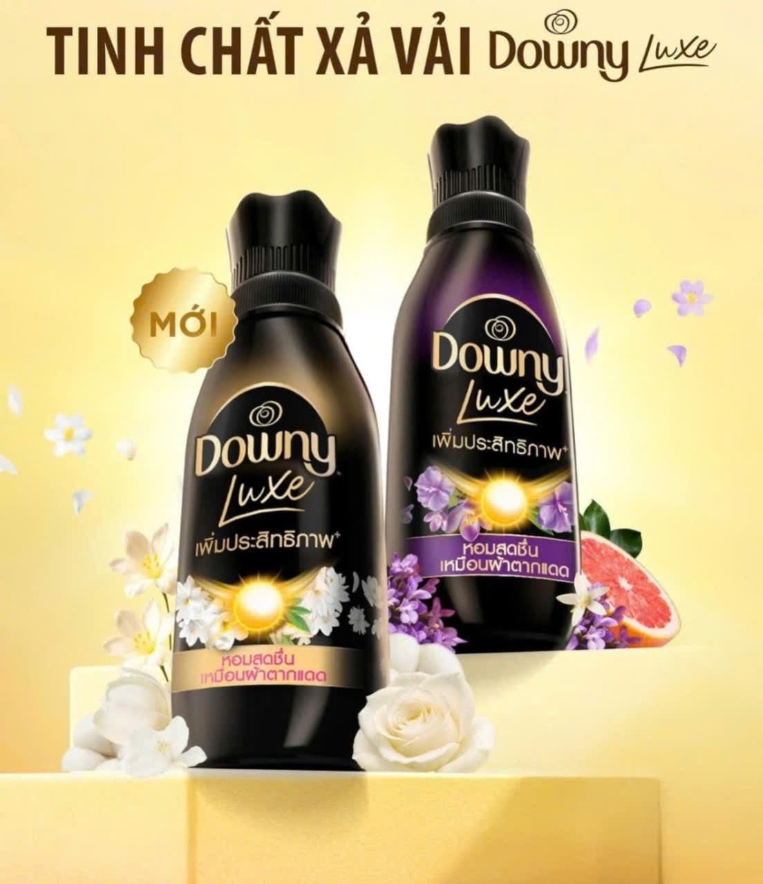  Tinh Chất Xả Vải DOWNY LUXE Tinh Chất Mặt Trời Thơm Như Được Phơi Dưới Nắng - Chai 450ml & Túi 1L 