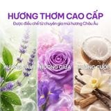  Nước giặt NET Matic chai x 3.3kg 