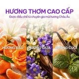  Nước giặt NET Matic chai x 3.3kg 