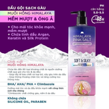  Hộp quà muối hồng Gội Himalaya 650ml tặng Sữa tắm DR 200g 
