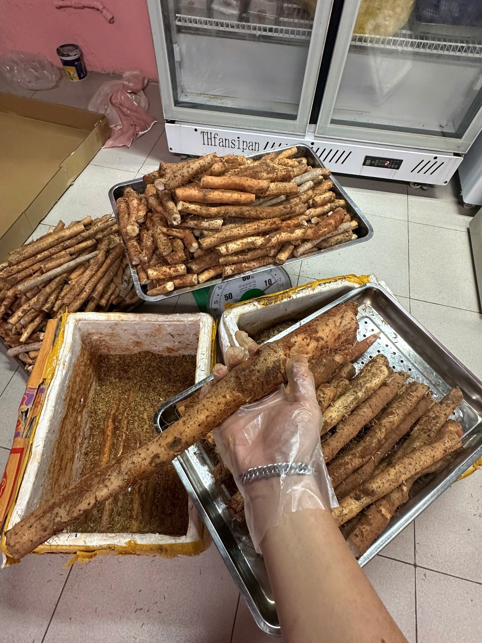 củ hoài sơn dược tươi sạch 1 kg