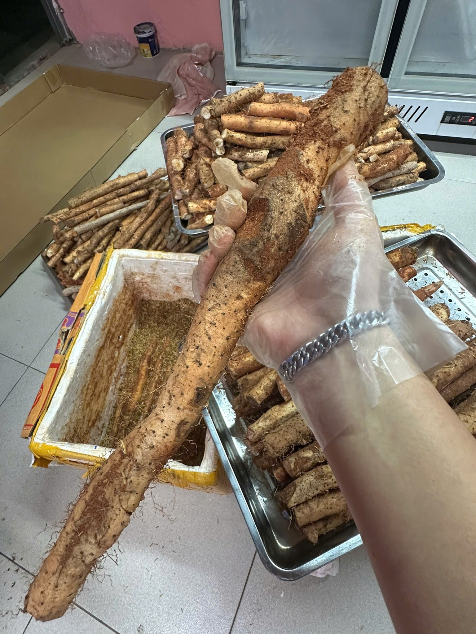 củ hoài sơn dược tươi sạch 1 kg